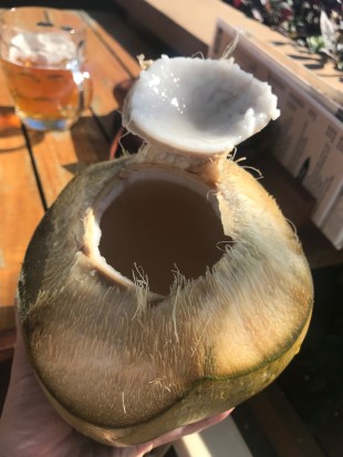 Coconut Water in Nadi, Fiji